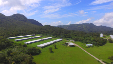 Poultry Farm Construction Loans: Financing Poultry Houses & Agricultural Facilities