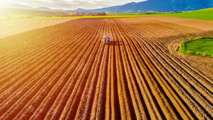 USDA Farm Loans & Rural Business Financing Guide