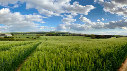 How to Start a Farm: Agriculture Startup Financing Guide | US Medical Funding