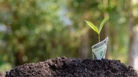 SBA Loans for Farms & Agricultural Businesses: Complete Guide | US Medical Funding