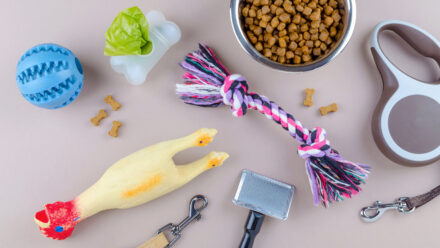 How to Sell a Pet Care Business: Preparing Buyers and Their Lenders | US Medical Funding