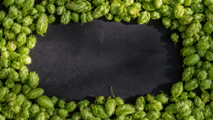 Brand, Recipes and the Head Brewer: Key Assets in a Brewery Sale | US Medical Funding