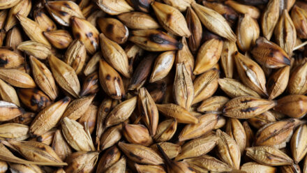 How to Sell a Craft Brewery: Preparing Buyers and Their Lenders