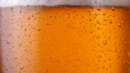 Buying a Second Brewery or Brewpub: Add-On Acquisitions for Established Owners | US Medical Funding