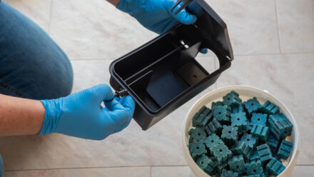 Pest Control Business Debt Restructuring When Cash Is Tight