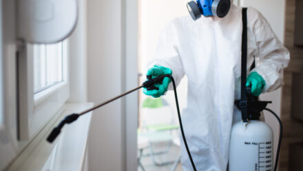 How to Sell a Pest Control Business: Preparing Buyers and Their Lenders