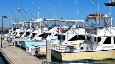 Dry Stack, Fuel Dock, Ship Store and Service Yard Revenue at a Marina | US Medical Funding