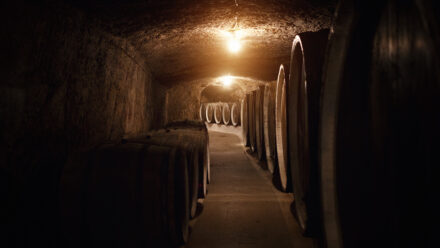 Winery Debt Restructuring When Cash Is Tight | US Medical Funding