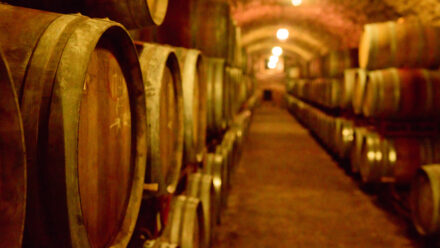 Winery Seller Financing and Earnouts | US Medical Funding
